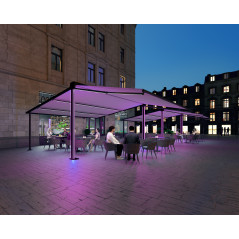 WINGLIGHT HYBRID FELD 2