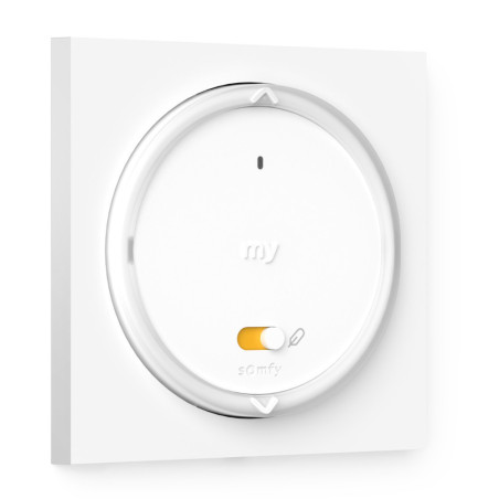 Amy 1 RS100 + Rahmen